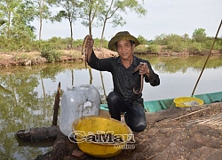 "Đệ nhất" thụt lịch xứ Cà Mau và câu chuyện ly kỳ về 1 anh Hai Lúa