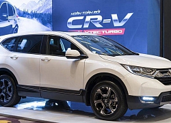 Honda Việt Nam thông tin về hiện tượng cứng chân phanh trên xe CR-V 2019