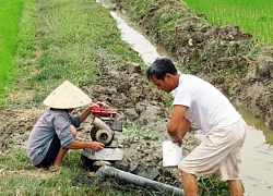 Nắng nóng, khô hạn ảnh hưởng đến các địa phương