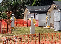 Nigieria xem xét các biện pháp đối phó với dịch Ebola