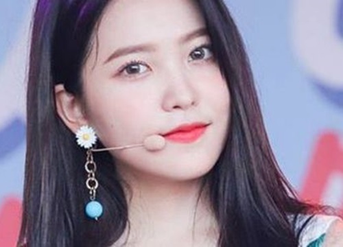 Tính cách 4D của Yeri (Red Velvet) được thể hiện rõ khi tham gia 'Law of the Jungle'