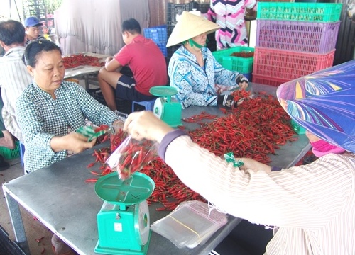 TP.HCM: Ngại chia sẻ "bí quyết", nông dân ít tham gia HTX