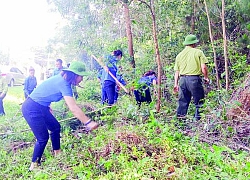 Ứng dụng khoa học công nghệ trong công tác phòng cháy, chữa cháy rừng