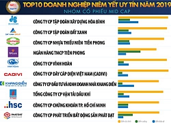 Vinamilk dẫn đầu bảng xếp hạng Top 10 doanh nghiệp nhóm bluechip niêm yết uy tín 2019