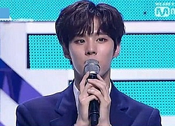 BXH nổi tiếng tuần 3 tháng 6: Kim Woo Seok và 'Produce X 101' đứng nhất 8 tuần liền, Sulli vượt Kim Yo Han