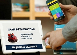 Chuyên gia lo ngại sự phát triển của fintech Việt Nam bị ảnh hưởng bởi giới hạn sở hữu nước ngoài