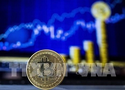 Đồng Bitcoin chạm mức cao nhất trong gần 16 tháng