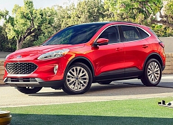 Ford vén màn mẫu crossover Escape 2020 được nâng cấp toàn diện