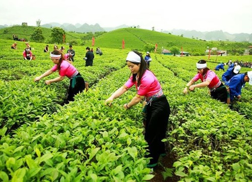 GTNFoods (GTN): Vinamilk công bố đã mua thêm hơn 5,8 triệu cổ phiếu, nâng sở hữu lên 40,68%