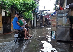 Hà Nội: Xử lý các điểm úng ngập và cắt tỉa cây xanh trước mùa mưa bão