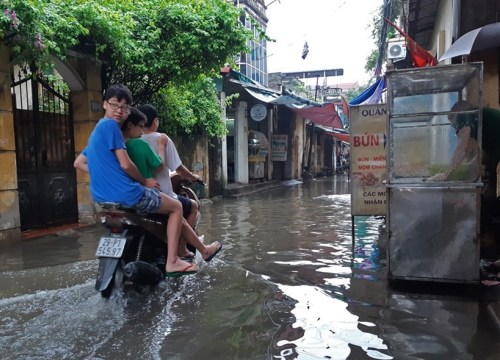 Hà Nội: Xử lý các điểm úng ngập và cắt tỉa cây xanh trước mùa mưa bão