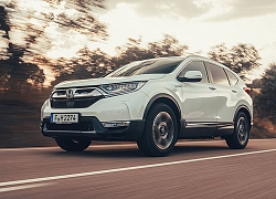 Honda triệu hồi 137.000 xe SUV CR-V 2019