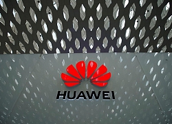 Huawei được cho là đang tìm cách chuyển sang hệ điều hành Avrora của Nga để thay thế Android