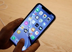 iPhone 2019 sẽ có phiên bản giá rẻ dưới 1.000 USD