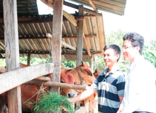 Khánh Hòa: Nhiều mô hình làm giàu cho thu hàng trăm triệu/năm