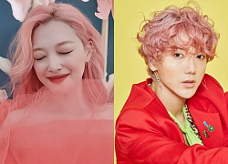 Một lọ thuốc nhuộm cả nhà SM dùng chung hay sao mà từ Sulli, Yesung đến Taeyeon đều nhuộm tóc hồng đủ tông hết cả