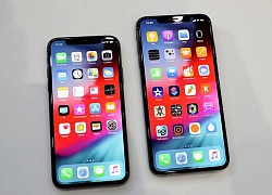 Nếu muốn mua iPhone 11R giá rẻ, bạn cần biết những điều này