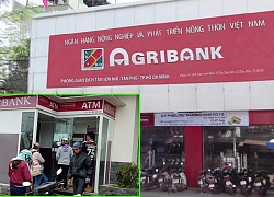 Agribank góp phần đẩy nhanh quá trình xử lý nợ xấu