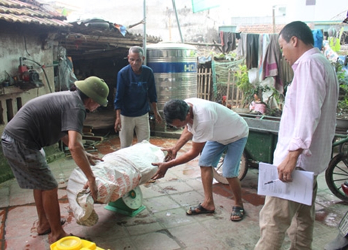 An toàn sinh học - cánh cửa chặn dịch tả lợn châu Phi