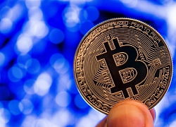 Bitcoin tiếp tục tăng 'phi mã', thị trường náo loạn