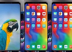 Bphone 2019 với nhiều cải tiến, sẽ trình làng vào tháng 10