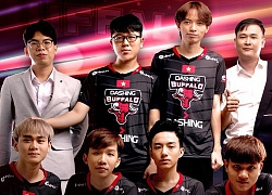 Đả bại Team Flash, fan hâm mộ cảm ơn Pelu vì đã không ủng hộ Dashing Buffalo.