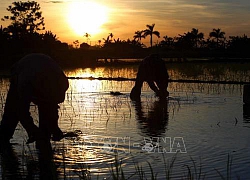 Đầu tháng 7, nắng nóng có khả năng chấm dứt tại Bắc Bộ và Trung Bộ