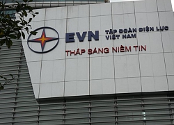 EVN ế ẩm cổ phần hai phiên đấu giá TV3 và TV4