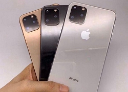 iPhone 11 còn chưa ra mắt nhưng đã được bày bán tại Trung Quốc