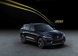 Jaguar F-Pace bổ sung phiên bản đặc biệt 300 SPORT và Chequered Flag