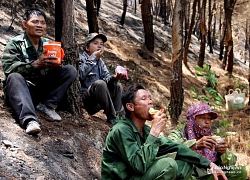 Nắng như thiêu, người dân Nghệ An ăn vội mì tôm khô trực cháy giữa rừng