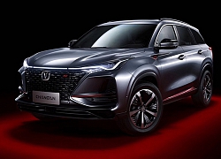 Nếu không nhìn kĩ chiếc xe Trung Quốc này, ai cũng tưởng Hyundai Santa Fe 2019