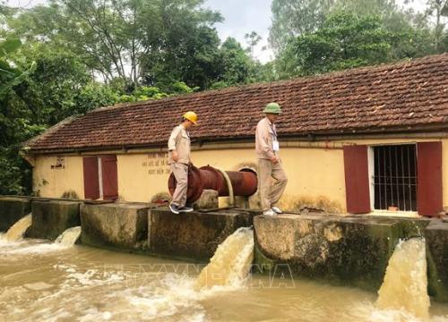 Nguy cơ mất trắng hàng trăm ha lúa do hạn kéo dài ở Thanh Hóa