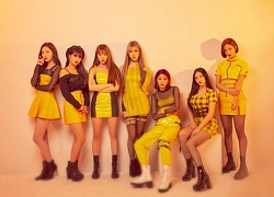 Nổi đình đám Đông Nam Á nhưng MOMOLAND vẫn quyết tâm &#8216;bon chen&#8217; ở thị trường Nhật