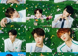 Sản phẩm gần nhất của The Boyz bán được 100.000 đĩa trên Hanteo... hứa hẹn trở thành ứng cử viên bán đĩa thế hệ mới