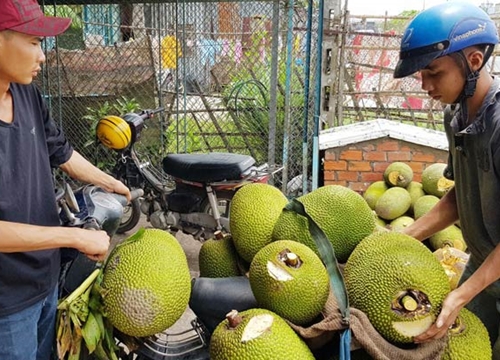 Trung Quốc "ăn" cầm chừng, giá mít Thái rớt thảm hại