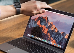 7 cài đặt macOS trên máy Mac mà bạn nên làm ngay lập tức