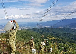 Báo động công tác phòng chống cháy rừng