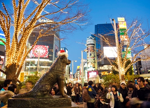 Ghé thăm Shibuya - giao lộ nhộn nhịp bậc nhất thế giới