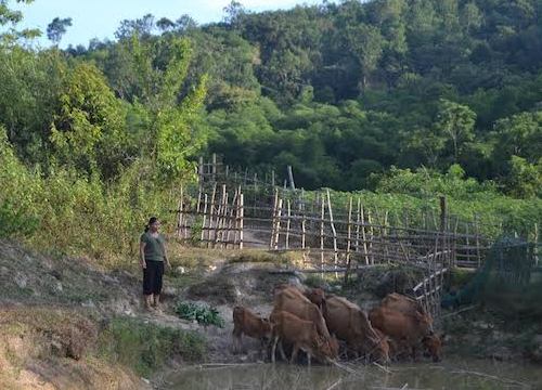 Nghệ An: Cuộc sống đổi thay của hộ nghèo dân tộc thiểu số miền núi