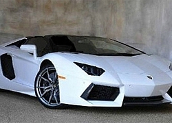 Treo thưởng 100.000 USD tìm Lamborghini bị trộm