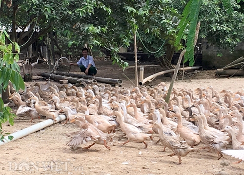 Từ phận phu vàng ngập ngụa thuốc phiện đến nông dân làm giàu