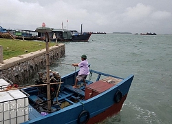 Áp thấp nhiệt đới mạnh lên thành bão số 2, Quảng Ninh cấm biển