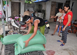 Bí quyết đặc biệt giúp chủ trại lợn Hưng Yên thoát "án tử" dịch tả