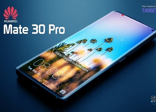 Huawei Mate 30 Pro tiếp tục lộ diện với camera tròn và màn hình "nốt ruồi"