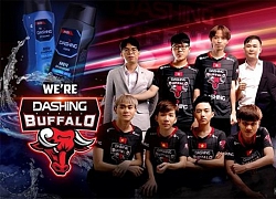 LMHT Lịch thi đấu Rift Rivals 2019: DBL, EVS xuất trận