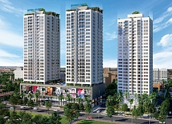 Long Giang Land muốn mua 51% cổ phần Xây dựng Hạ Long