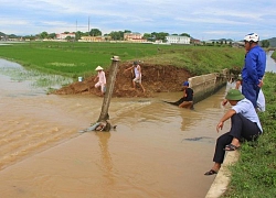 Nghệ An: Vỡ kênh, nhiều diện tích hoa màu bị ngập