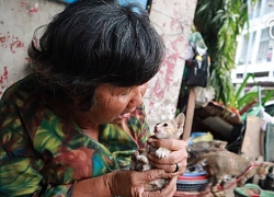 Người đàn bà sống dưới chân cầu, thích nuôi mèo hoang: 'Tôi no thì lũ mèo no, tôi đói thì lũ mèo đói'