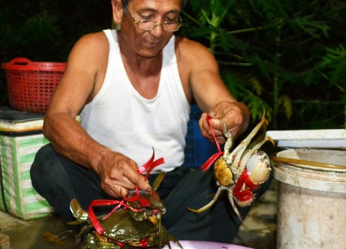 Nhãn hiệu cua Năm Căn đang bị xâm phạm